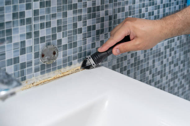 Best Mold Removal and Inspection  in Prattville, AL