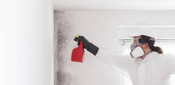 Best Residential Mold Removal  in Prattville, AL